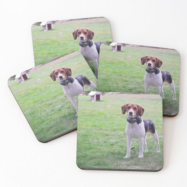 Item preview, Beagle Ready To Play designed and sold by ThoughtPlane.