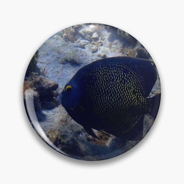 Item preview, Underwater - French Angel Fish by Wagonesta  designed and sold by Wagonesta.