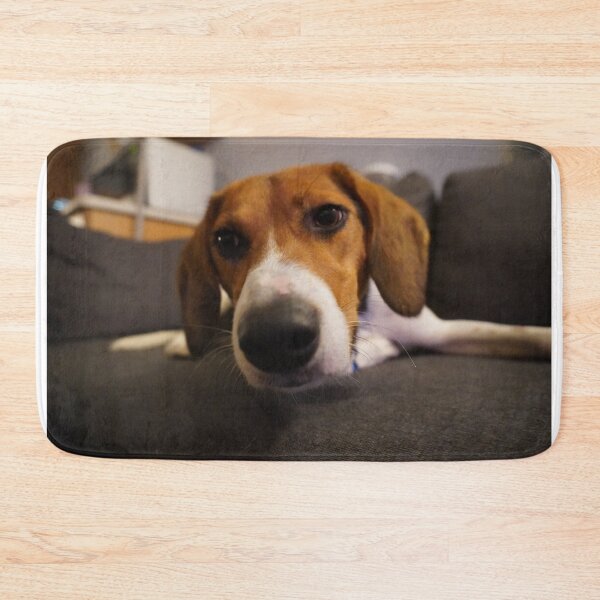 Item preview, Beagle snoot in your face designed and sold by ThoughtPlane.