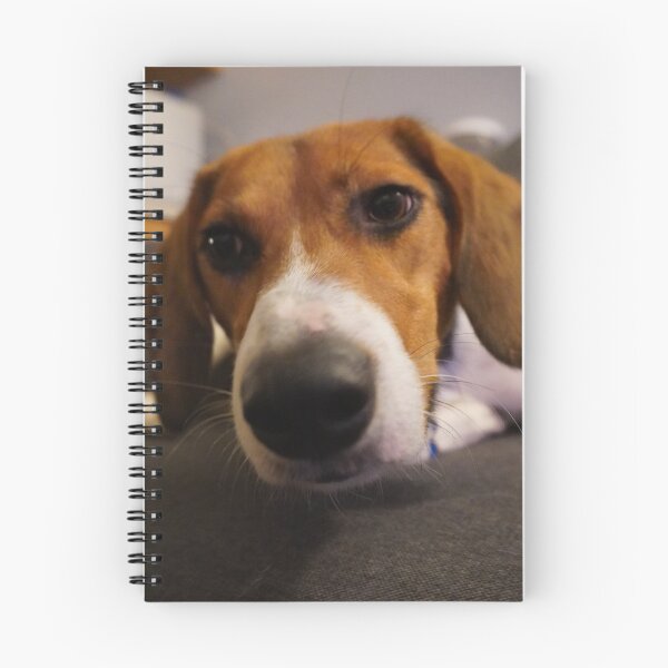 Item preview, Beagle snoot in your face designed and sold by ThoughtPlane.