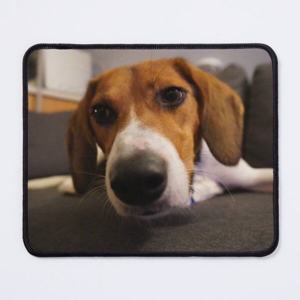 Item preview, Beagle snoot in your face designed and sold by ThoughtPlane.