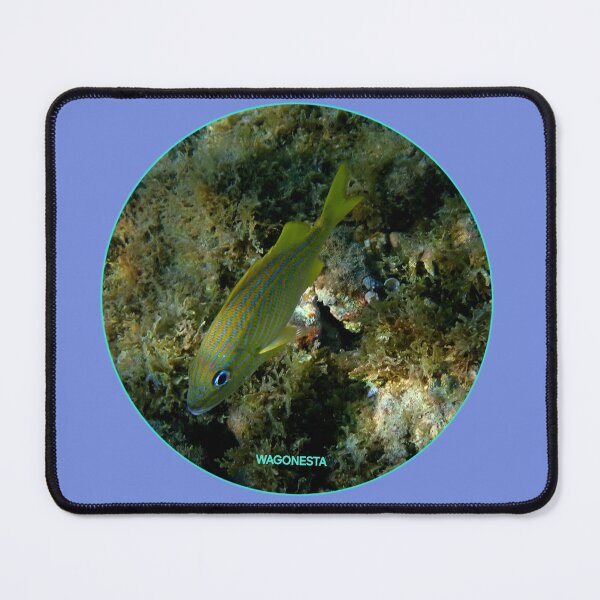 Item preview, Underwater - Bluestriped Grunt by Wagonesta  designed and sold by Wagonesta.