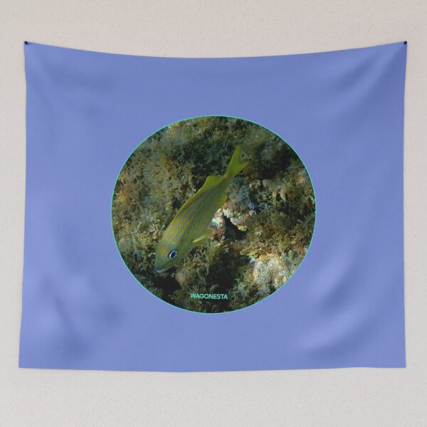 Item preview, Underwater - Bluestriped Grunt by Wagonesta  designed and sold by Wagonesta.