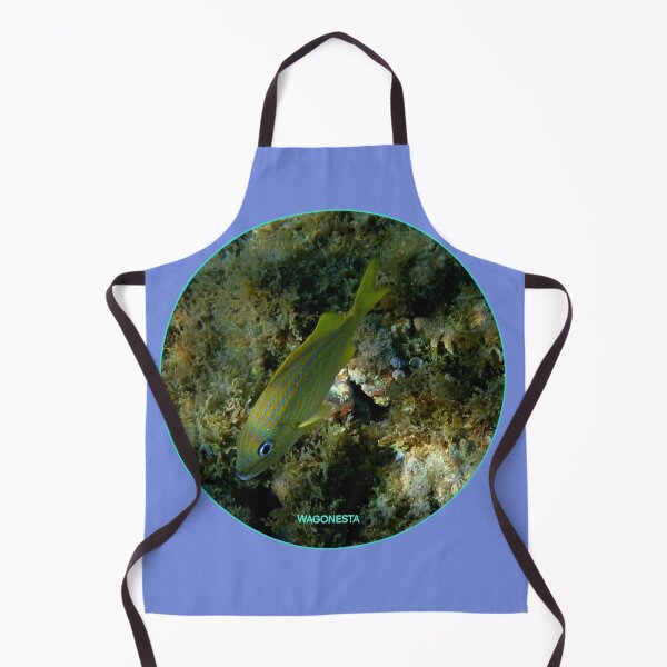 Item preview, Underwater - Bluestriped Grunt by Wagonesta designed and sold by Wagonesta.