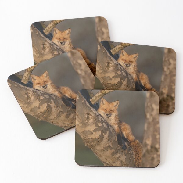 Item preview, Red Fox at sunrise  designed and sold by wildlifist.