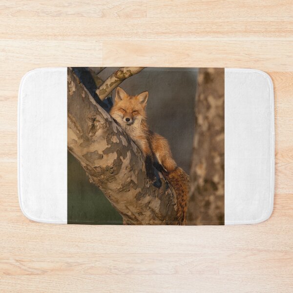 Item preview, Red Fox at sunrise  designed and sold by wildlifist.