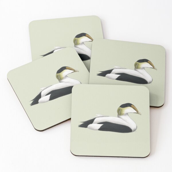 Item preview, Common Eider designed and sold by Wildlife Art by Holly.