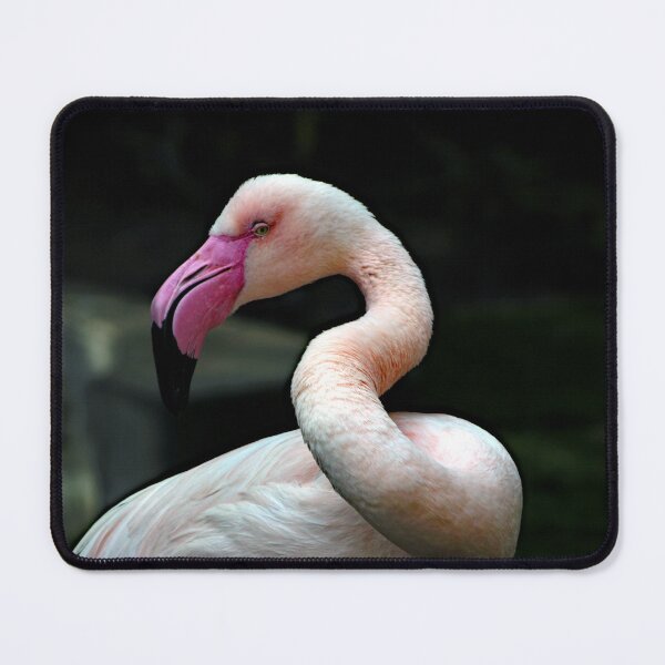 Item preview, Los Angeles Zoo designed and sold by supernova23.