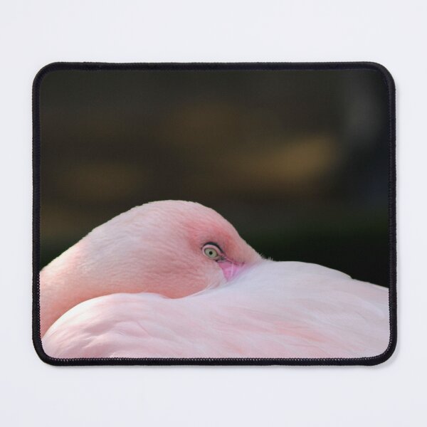 Item preview, Los Angeles Zoo designed and sold by supernova23.