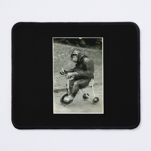 Item preview, Vintage Chimpanzee Monkey Riding Tricycle Chimp Funny designed and sold by Dressed For  Duty.