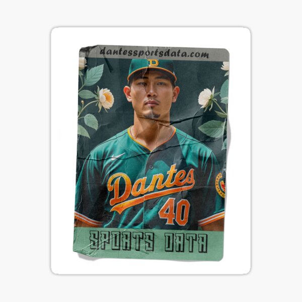 Worn Baseball Card Sticker