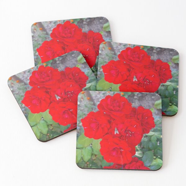 Item preview, Rosses from my garden with big fly. "Beauty and beast" Photography designed and sold by Atarac.