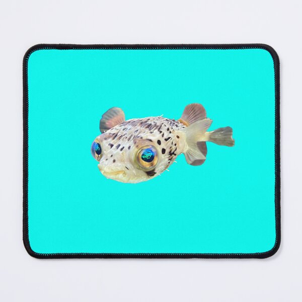 Item preview, Adorable pufferfish designed and sold by GraceNoteCards.