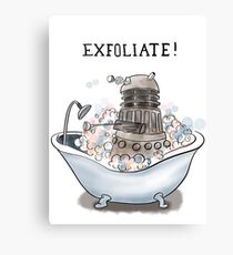 Exfoliate Canvas Print