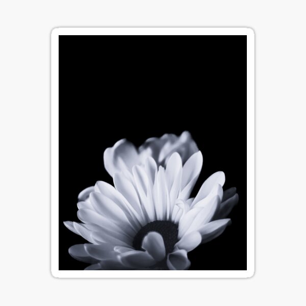 Item preview, White Flower designed and sold by MattBlack&GoldFairy.
