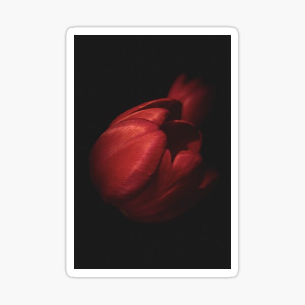 Item preview, Tulip designed and sold by MattBlack&GoldFairy.