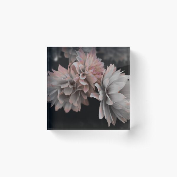 Item preview, Dream flowers designed and sold by MattBlack&GoldFairy.