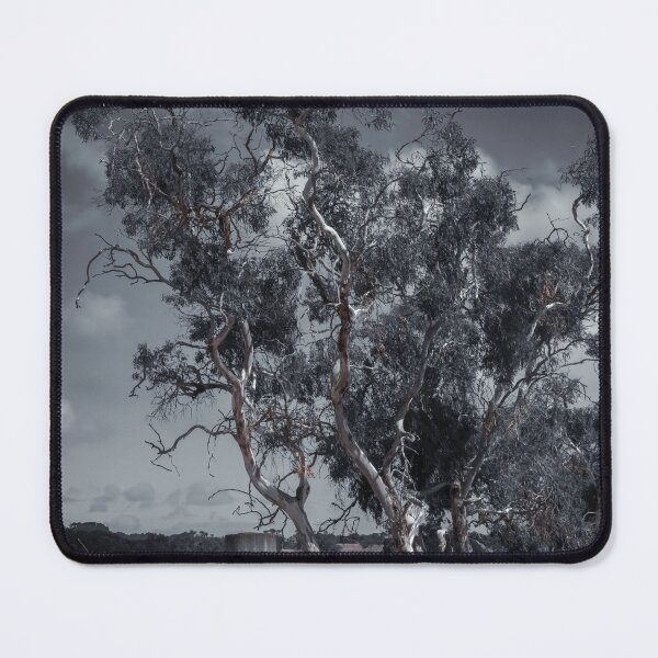 Item preview, Large Australian Eucalyptus Trees. designed and sold by Kate4721.
