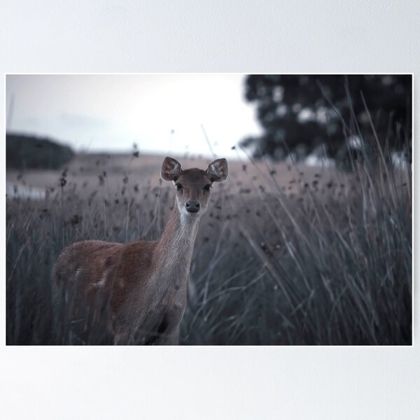Item preview, Moody Rusa Deer Portrait. designed and sold by Kate4721.