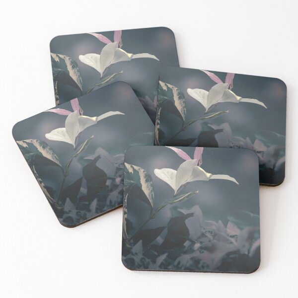 Item preview, Asiatic Jasmine designed and sold by robdwildlife.