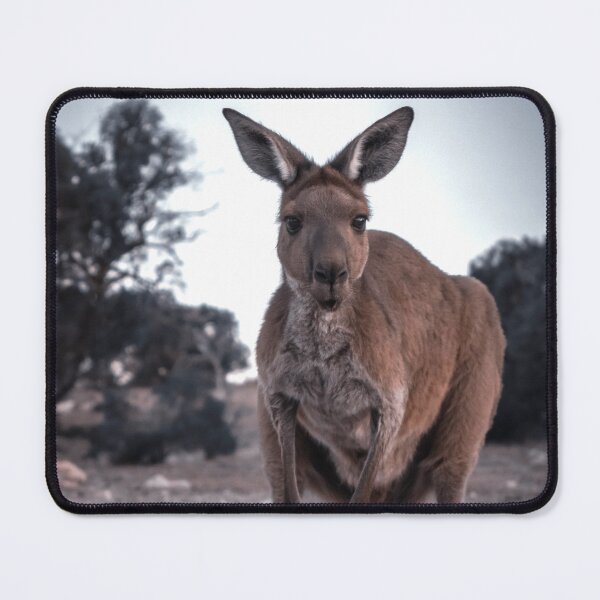 Item preview,  Moody Kangaroo Portrait. designed and sold by Kate4721.