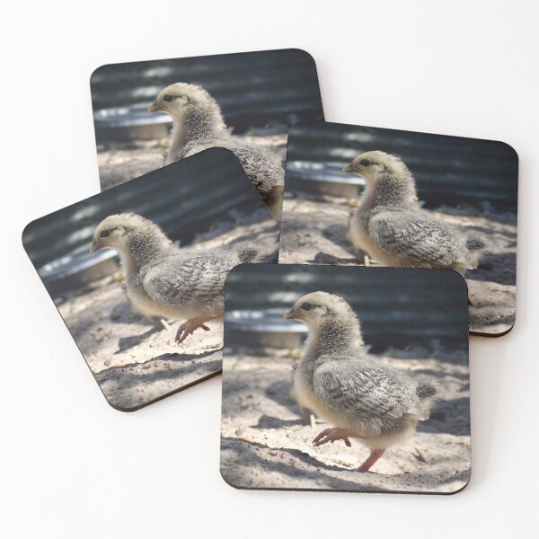 Item preview, Baby Chick. designed and sold by Kate4721.
