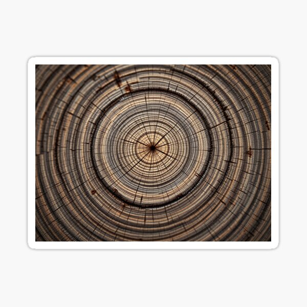 Item preview, Wood Grain Rings - Concentric Circle Pattern - Natural Abstract Tree Stump Texture designed and sold by Arthur Von.