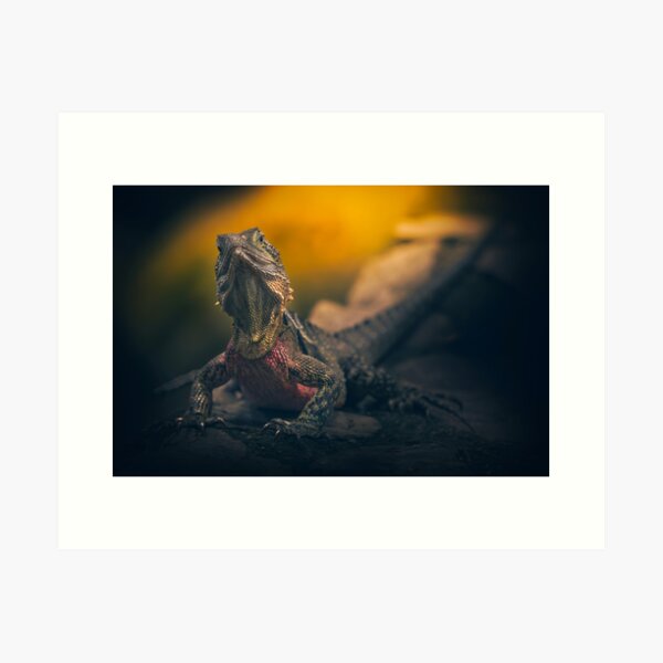 Item preview, Eastern Water Dragon designed and sold by robdwildlife.