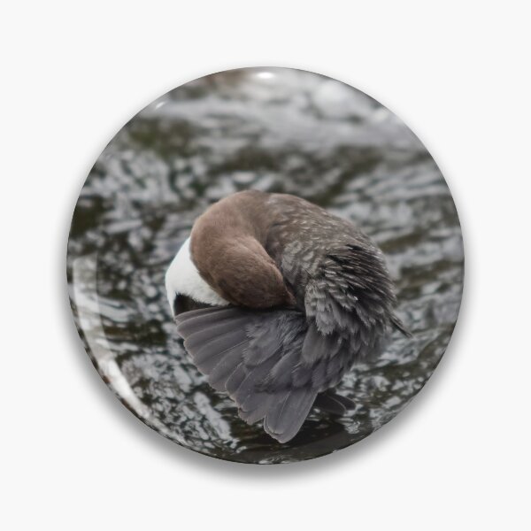 Item preview, You like what you like. White-throated dipper designed and sold by Jouko Lehto Photography.