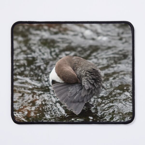 Item preview, You like what you like. White-throated dipper designed and sold by Jouko Lehto Photography.
