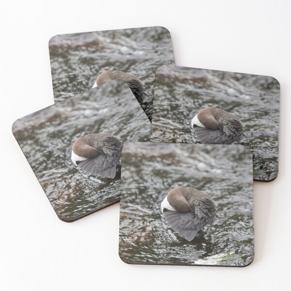 Item preview, You like what you like. White-throated dipper designed and sold by Jouko Lehto Photography.