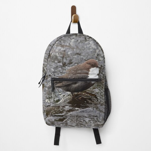 Item preview, Public profile. White-throated dipper designed and sold by Jouko Lehto Photography.