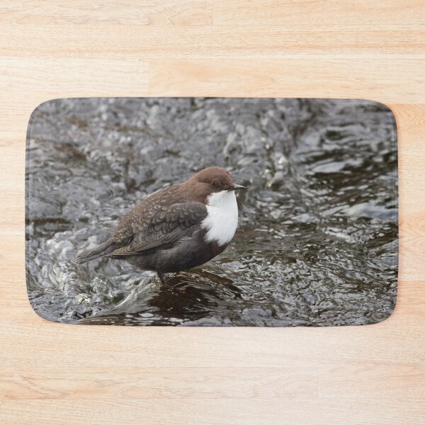 Item preview, Public profile. White-throated dipper designed and sold by Jouko Lehto Photography.