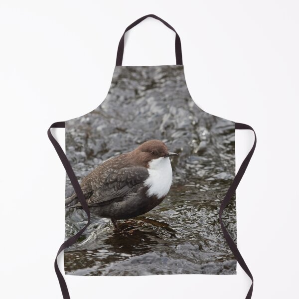 Item preview, Public profile. White-throated dipper designed and sold by Jouko Lehto Photography.