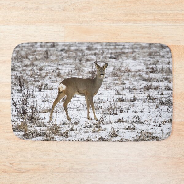 Item preview, The official pose. Roe deer designed and sold by Jouko Lehto Photography.