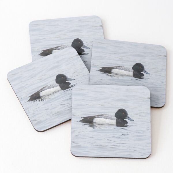 Item preview, Lesser Scaup designed and sold by LaurenTucker.