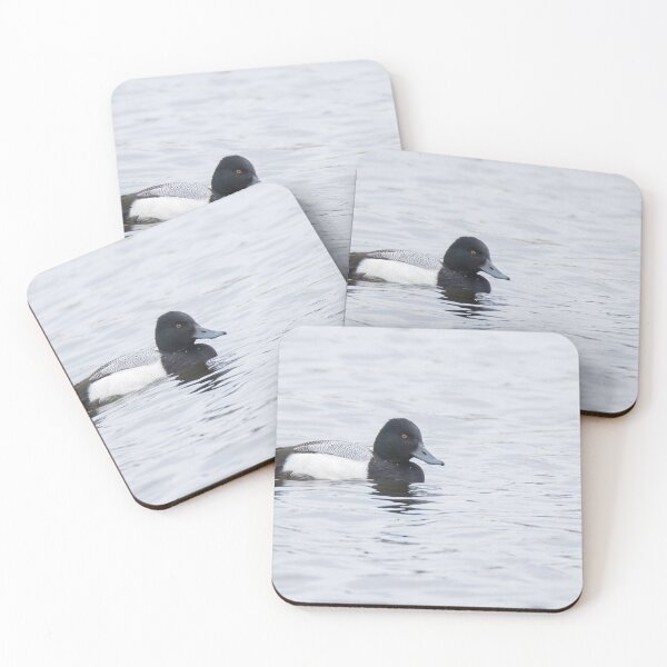 Item preview, Lesser Scaup designed and sold by LaurenTucker.