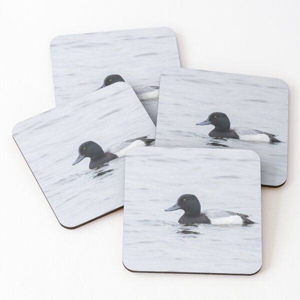 Item preview, Lesser Scaup designed and sold by LaurenTucker.