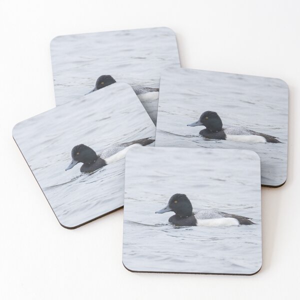 Item preview, Lesser Scaup designed and sold by LaurenTucker.