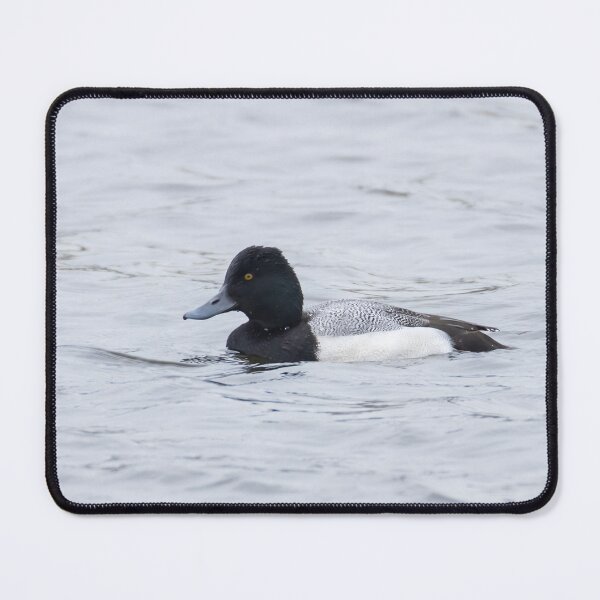 Item preview, Lesser Scaup designed and sold by LaurenTucker.