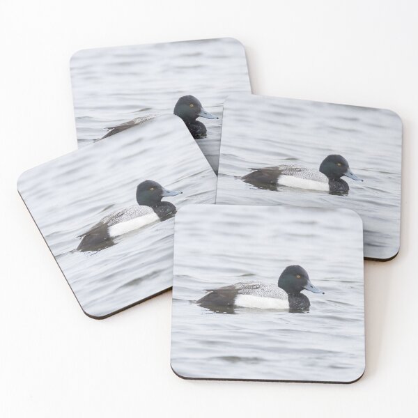 Item preview, Lesser Scaup designed and sold by LaurenTucker.