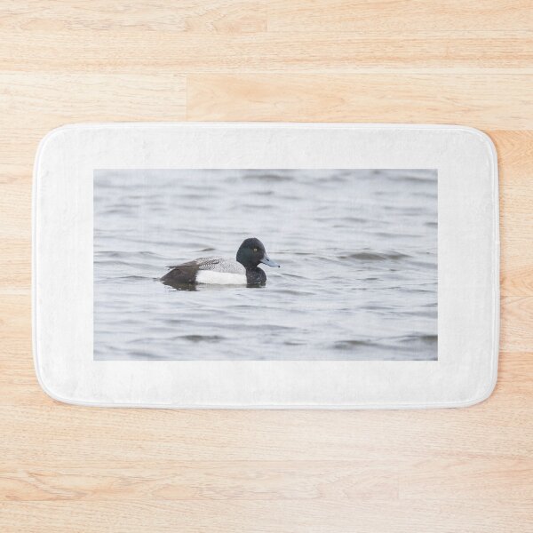 Item preview, Lesser Scaup designed and sold by LaurenTucker.