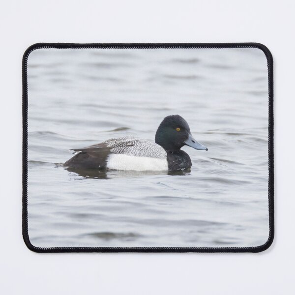 Item preview, Lesser Scaup designed and sold by LaurenTucker.