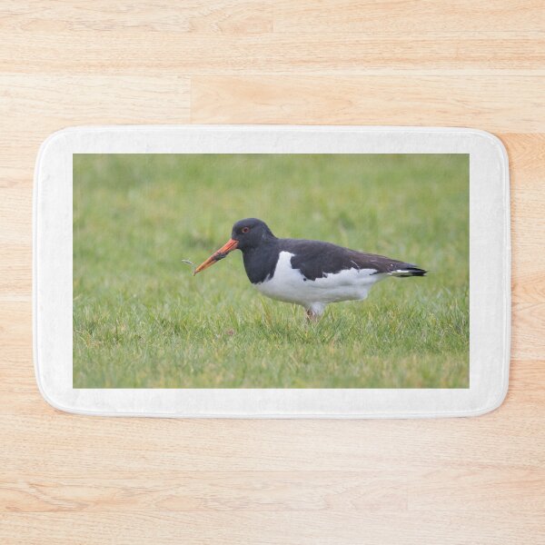 Item preview, Oystercatcher designed and sold by LaurenTucker.