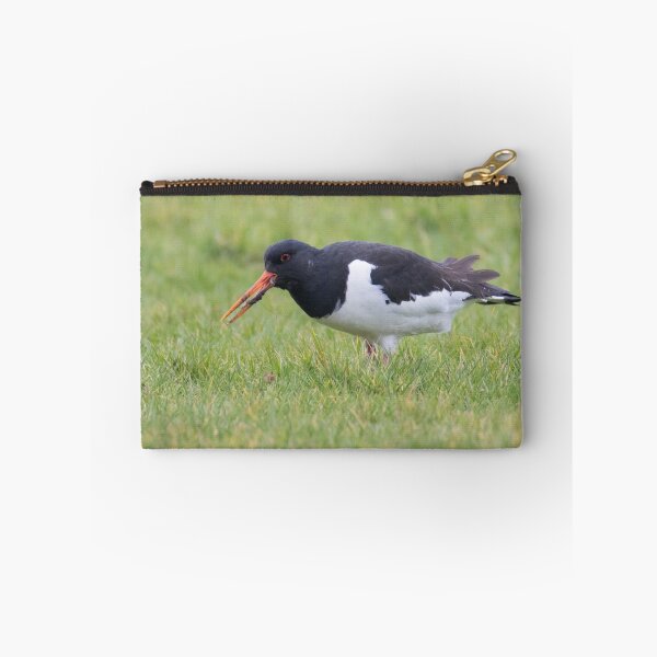 Item preview, Oystercatcher designed and sold by LaurenTucker.