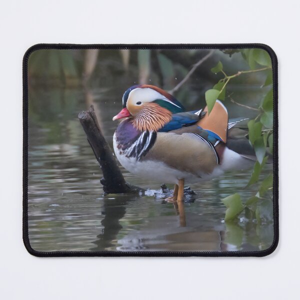 Item preview, Mandarin Duck designed and sold by LaurenTucker.