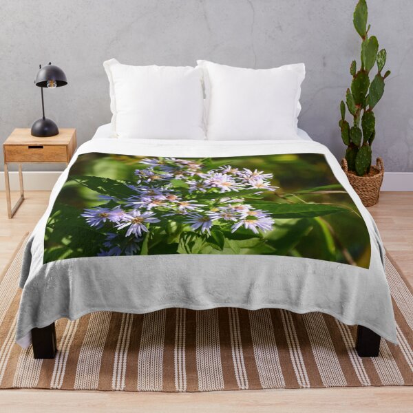 Item preview, American Aster At Orlando Wetlands Park designed and sold by MercerImages.