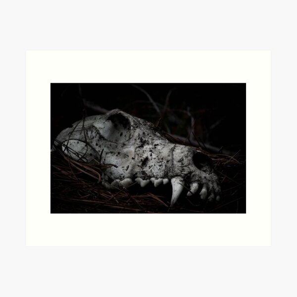 Art Print