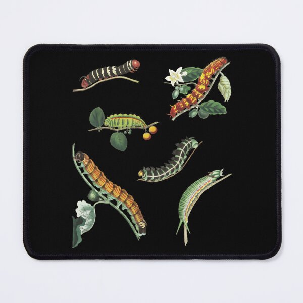 Item preview, Great Model Women Who Love  Vintage Caterpillar Pack The Very Hungry Caterpilla Style Cute Graphic designed and sold by ChristophPouros.