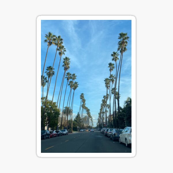 Item preview, “Iconic Palm Tree Boulevard” designed and sold by AceScapes.
